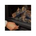 Wildfire Ravel Gas Stove 